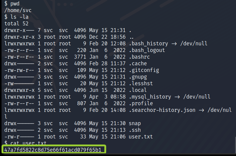 image-20230522105924505