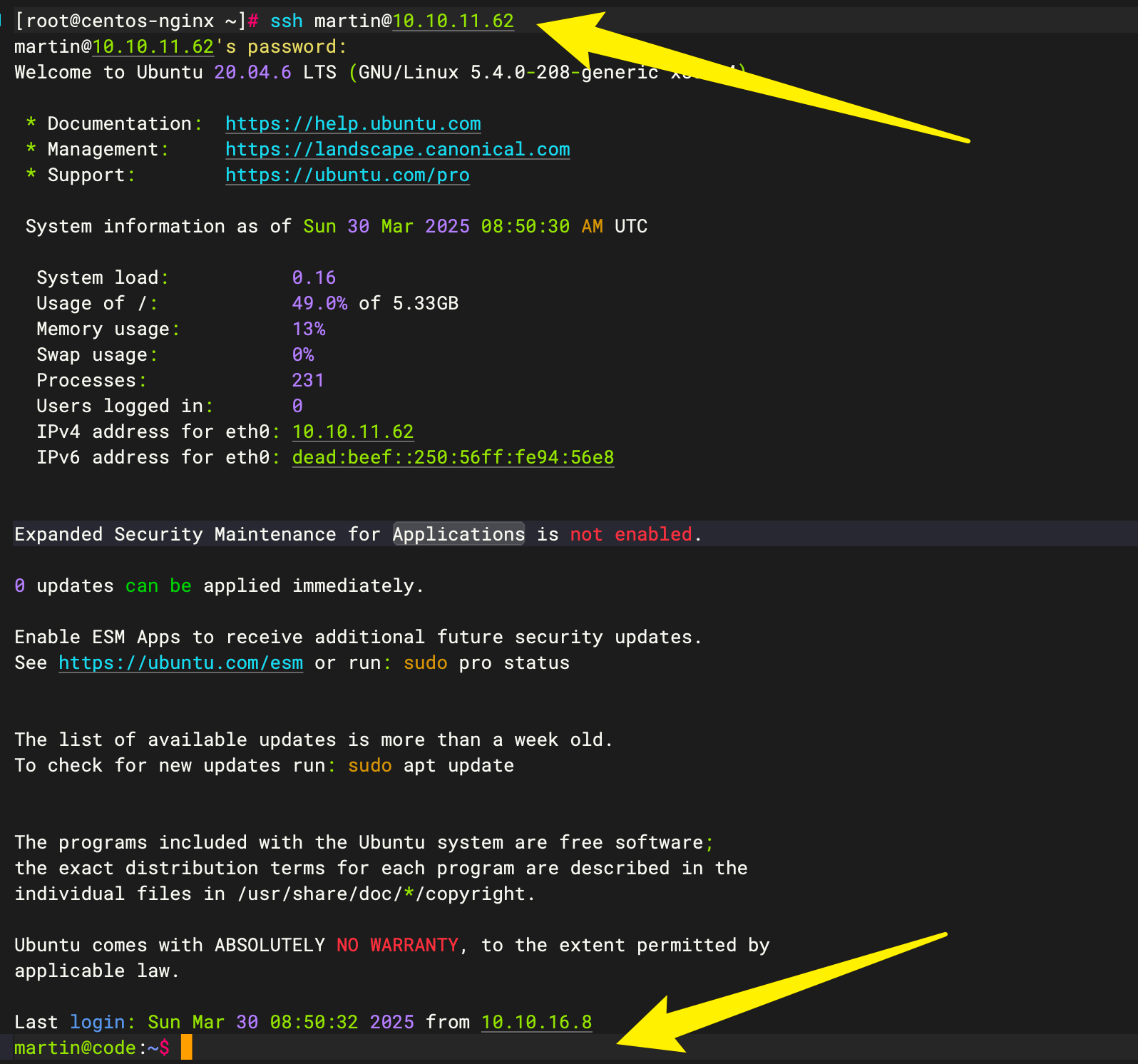 image-20250330165204575