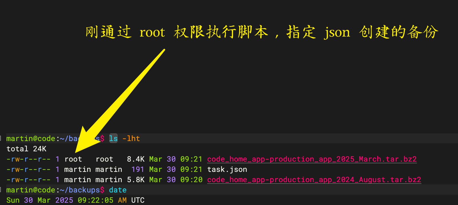 image-20250330172657882