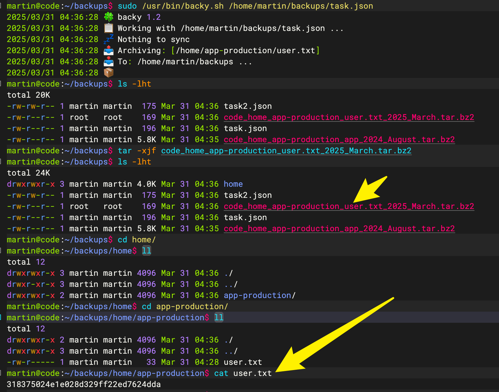 image-20250331125707805