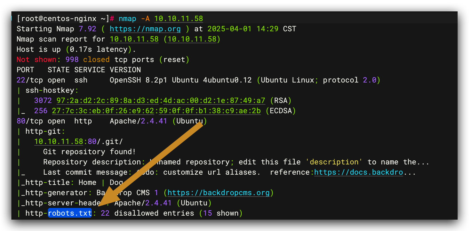 Nmap 扫描到的 robots.txt 信息