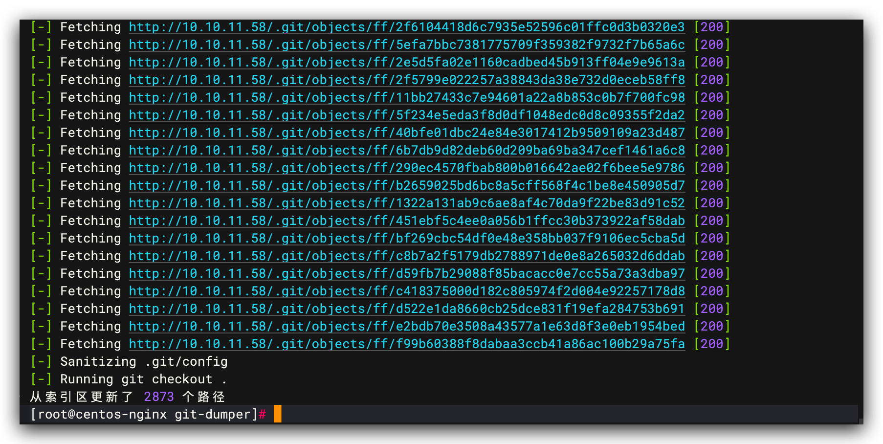 git-dumper 执行信息 2