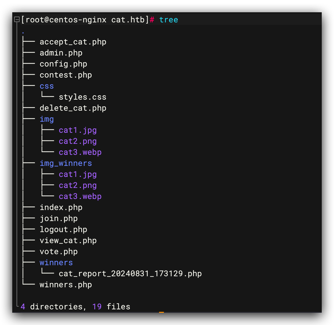 image-20250420170537892