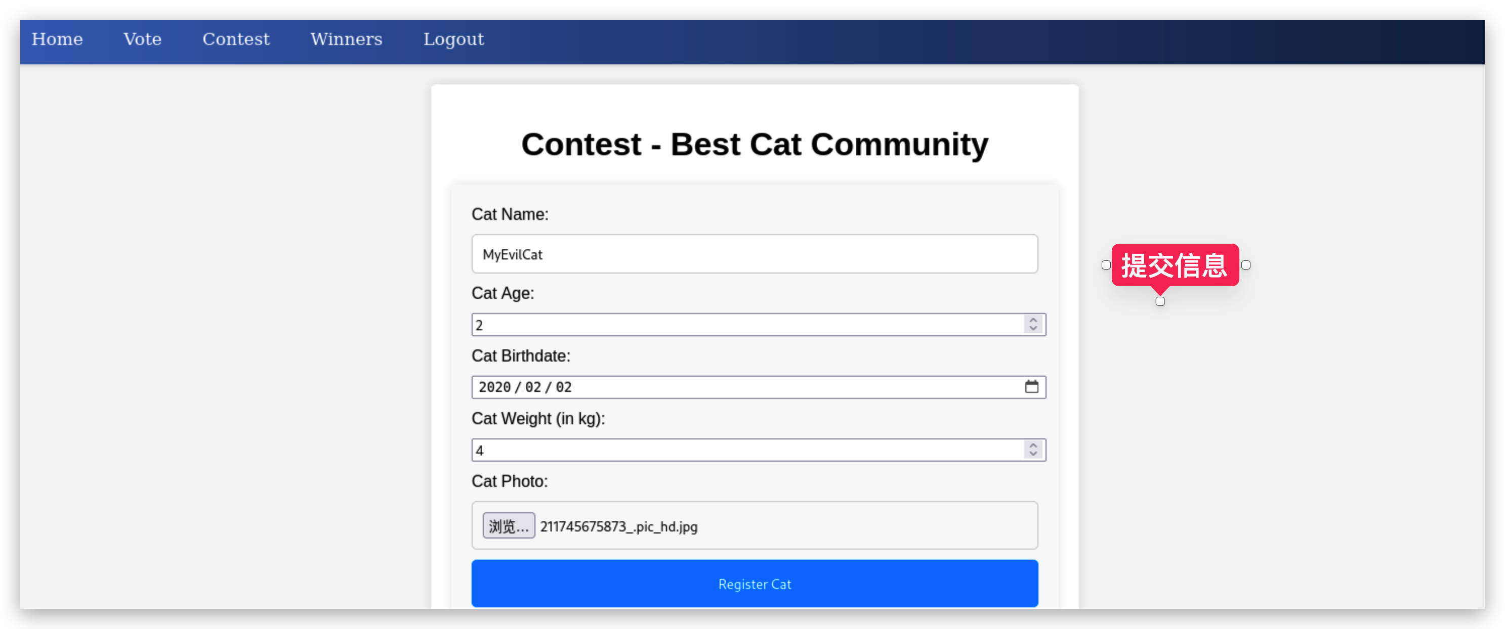 image-20250505150139676