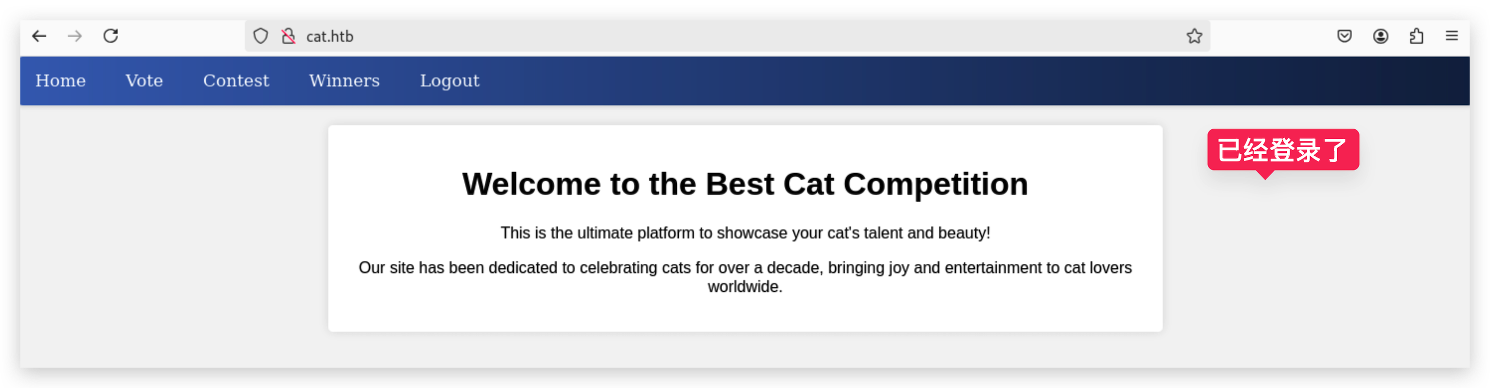 image-20250505150247811