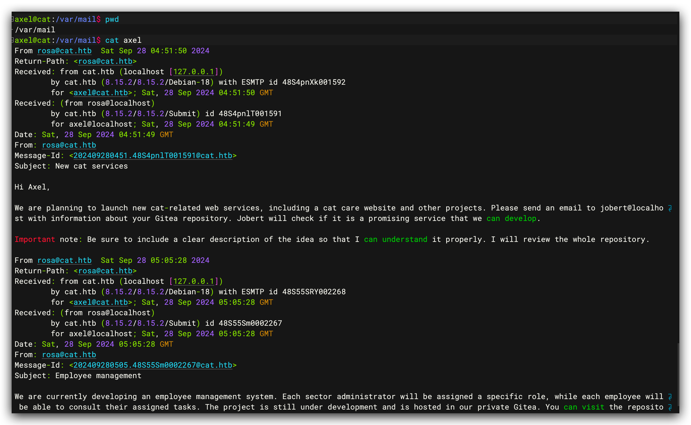 image-20250510100935700