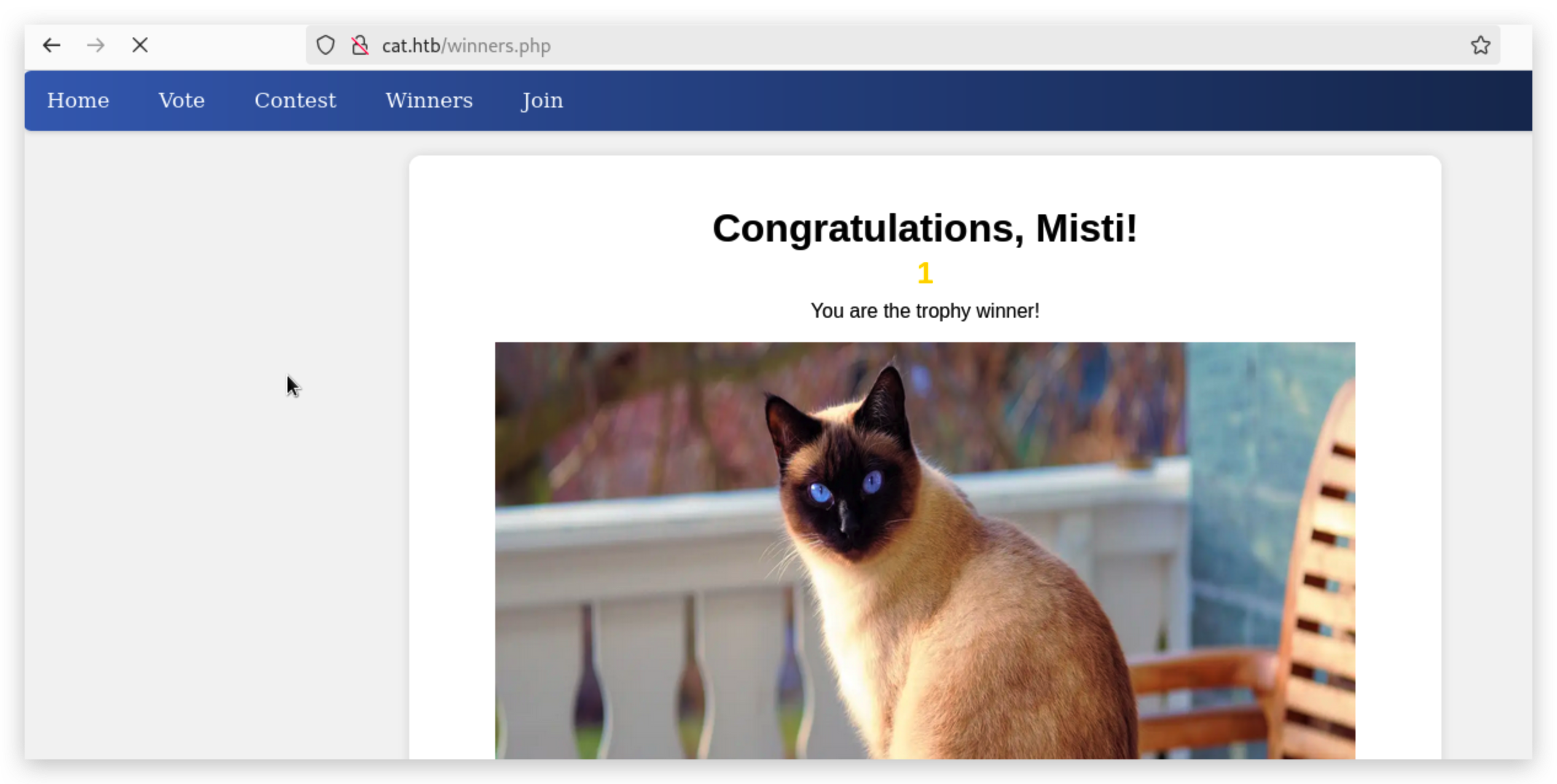 image-20250510155155503