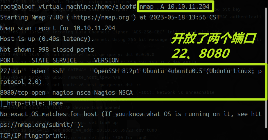 image-20230518140018204