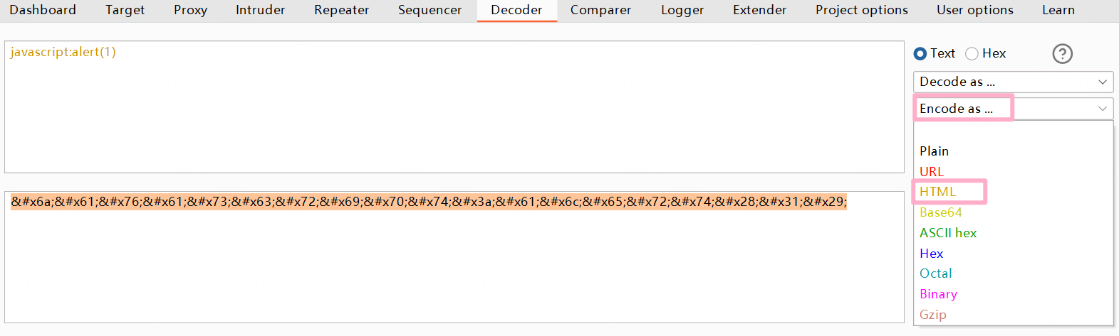 image-20230205213359970
